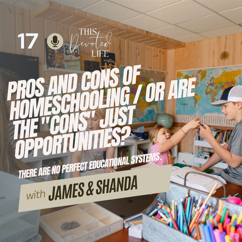 17: Pros and Cons of Homeschooling / Are the 